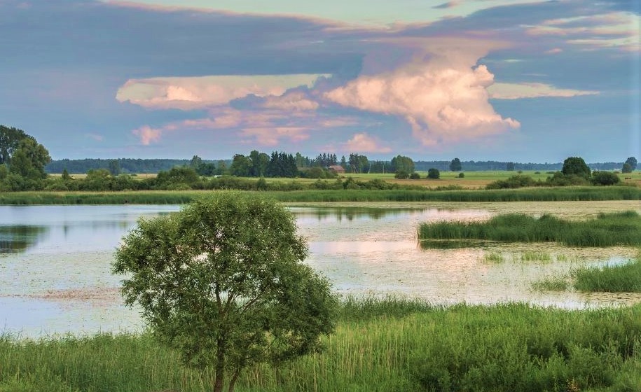 Lietuvos ezerai
